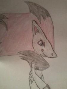 My drawing of Zoroark