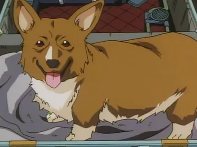 mizuki_moonchild's Photo mizuki_moonchild's Photo