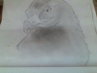 My Eagle