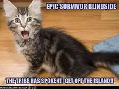 Epic Blindside