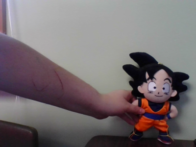 i have collected the saiyan