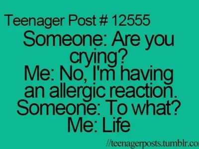 BasicCactus's Photo BasicCactus's Photo