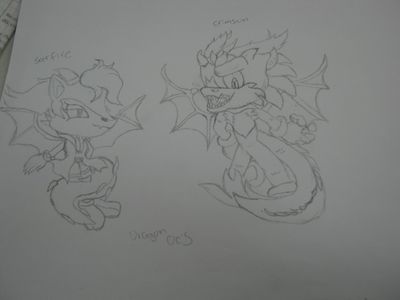 Dragon OC's