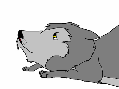 Sad, lonely Wolfie :(