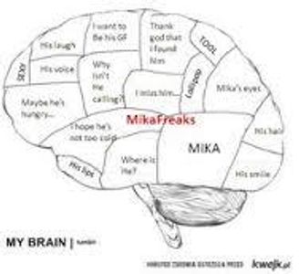 My brain.