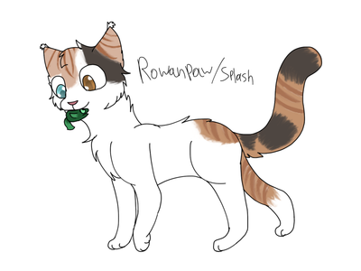 Rowanpaw/Splash