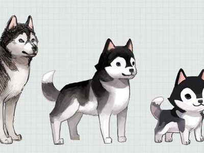 What husky is your favourite? Mine: 3rd