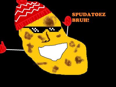 cold_spud