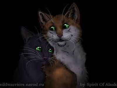 Fallen Leaves x Hollyleaf, I ship it!