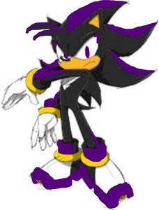 Death the Hedgehog. (I do not own him He is owned by Balenaproductions. He is also Shadow's brother)