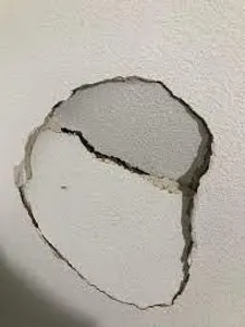 Sc3neC0r3's Photo Sc3neC0r3's Photo