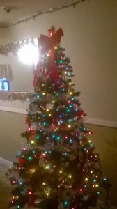 We put the christmas tree up^.^