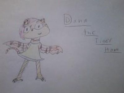 Dana the Tiger Hawk (still deciding wether to keep her or give her away)