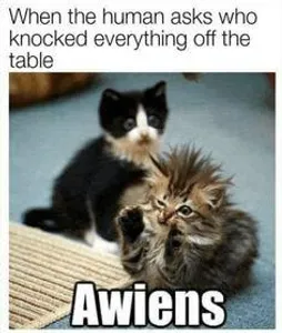 ravenspirit892's Photo ravenspirit892's Photo