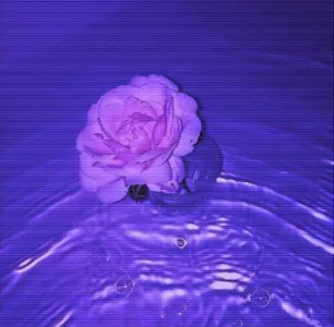 xXEmotionlessDepresstionXx's Photo xXEmotionlessDepresstionXx's Photo