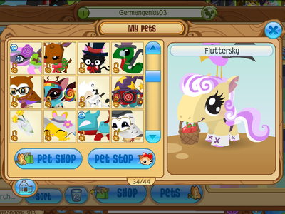 Here are some of my pets. (If you can't tell, the pony is supposed to be Fluttershy.)