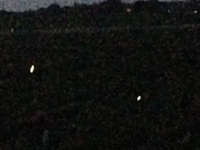 tans_daddy_SaNs_da_meme's Photo tans_daddy_SaNs_da_meme's Photo