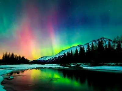 ScentedJasmine_101's Photo ScentedJasmine_101's Photo