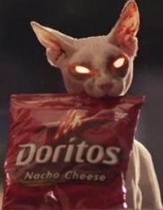 Dorito_bro