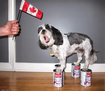 All_hail_Melon_King's Photo All_hail_Melon_King's Photo