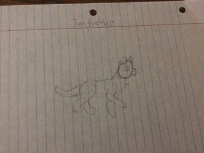 Jayfeather