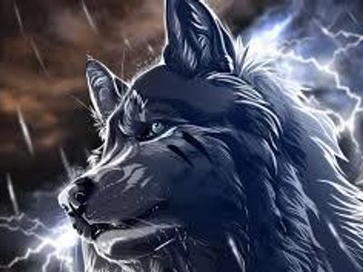 stormwolf09