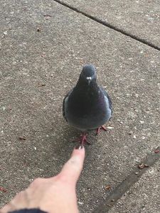 was reading in the park and this guy wouldn’t leave me alone