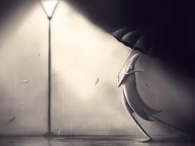 RainyNight RainyNight