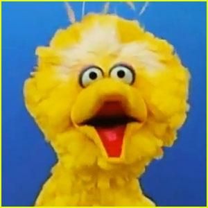 BigBird7