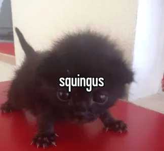 Seggie's Photo Seggie's Photo