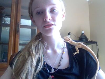 NOW PRESENTINGGG MY BEARDED DRAGON, TELULAH!