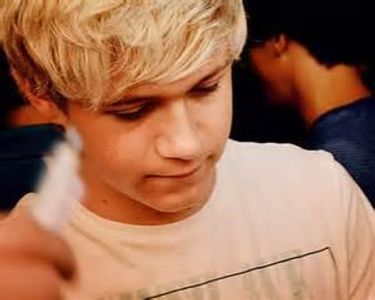 OneDirectionNialler1234