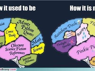 old people brains vs brony brains