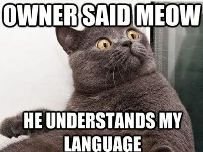 DontJudgeMeByMySocks's Photo DontJudgeMeByMySocks's Photo