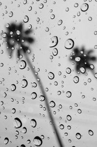 Each raindrops reflects both palm trees, but upside down :D