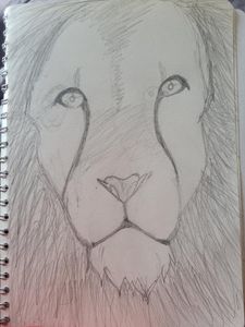 First time drawing a lion pog