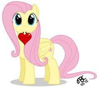 fluttershy4ever