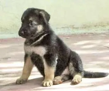 xKearax's Photo xKearax's Photo