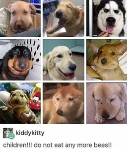 The.Ice.Is.Melting's Photo The.Ice.Is.Melting's Photo