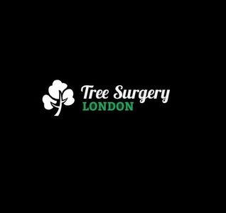 treesurgerylondon