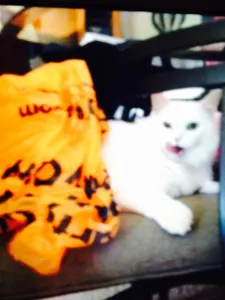 Maxdatlitmix2505's Photo Maxdatlitmix2505's Photo