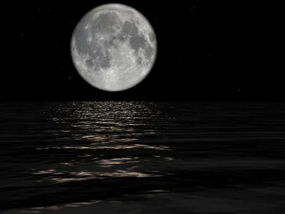 MidnightDreamer MidnightDreamer