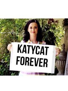 katycat