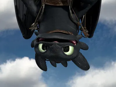 Kat2005's Photo Kat2005's Photo