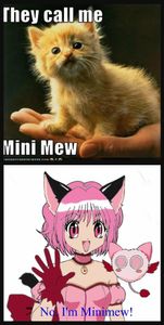 Go Minimew and Zoey!