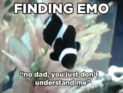 Newskitty's Photo Newskitty's Photo