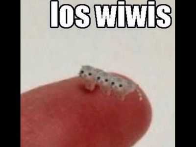 los wiwis