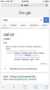 Is it really bad to be a valor cuz this is what it means