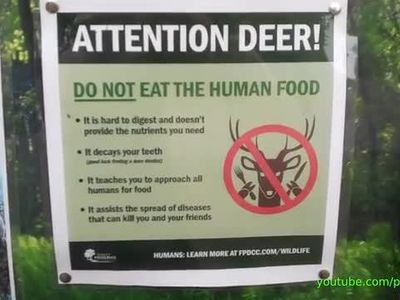 yEs dEeR rEaD THiS sIgn