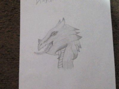 I DREW A DRAGON :D